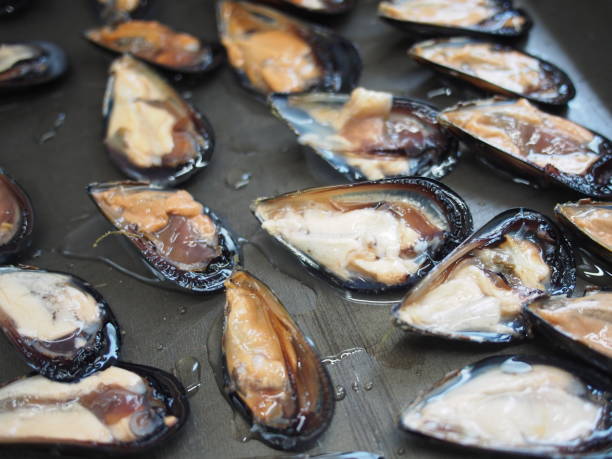 istock mussel pan to be gratin 1217981443