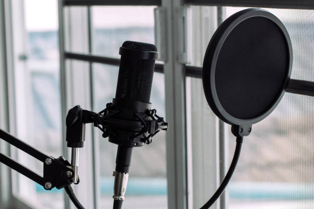 istock Condenser studio microphone with shock mount and windscreen in a music studio. Musical Concept 1217982572