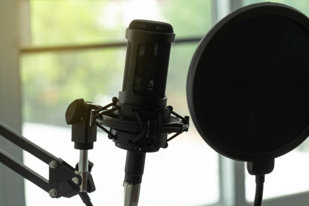 istock Condenser studio microphone with shock mount and windscreen in a music studio. Musical Concept