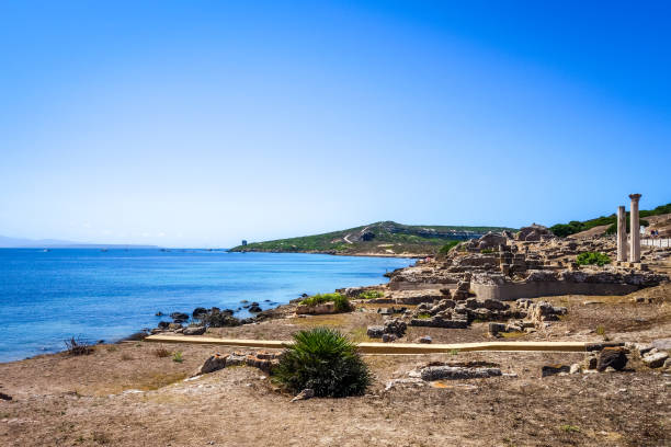 istock Columns in Tharros archaeological site, Sardinia 1217982584