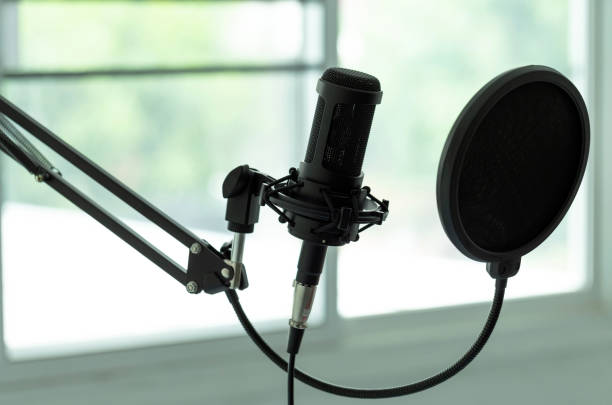 istock Condenser studio microphone with shock mount and windscreen in a music studio. Musical Concept 1217982618