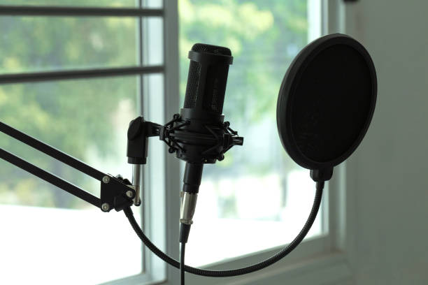 istock Condenser studio microphone with shock mount and windscreen in a music studio. Musical Concept 1217982638
