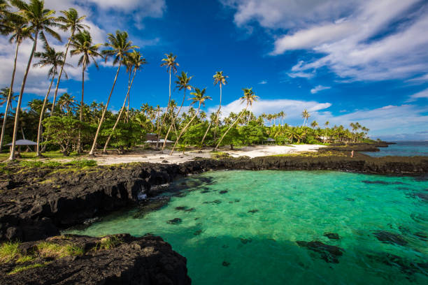 istock Vibrant tropical beach with palm trees, Upolu, Samoa 1217982702