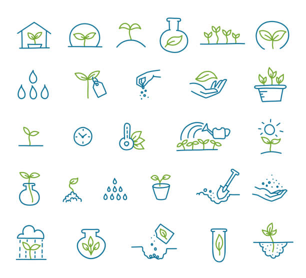 istock Set of icons growing seedlings. Plant shoots. Seedlings agriculture technology. Vector line hand-drawn sketch. 1217982705