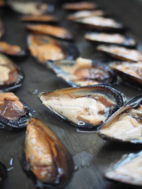 istock mussel pan to be gratin 1217982877