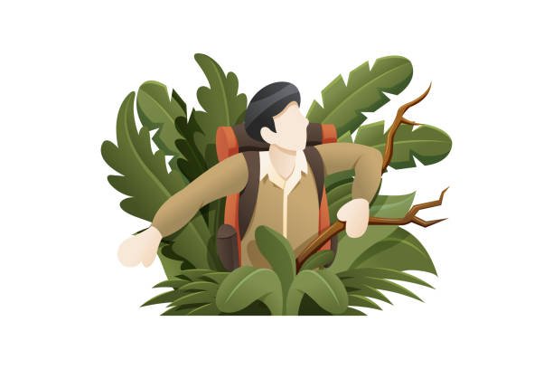 Vector illustration Explorer lost in the forest People to explore the jungle, Man breaks through plants in the forest. Explorer cartoon character, Outdoor activity. Vector illustration in flat style weeding stock illustrations