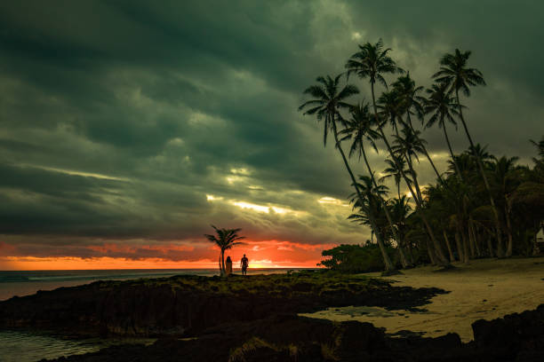 istock Coconut palm trees on the beach during the sunrise on Upolu, Samoa 1217984174