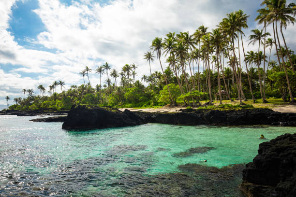 istock Tropical beach on south side of Samoa Island with coconut palm trees 1217984263