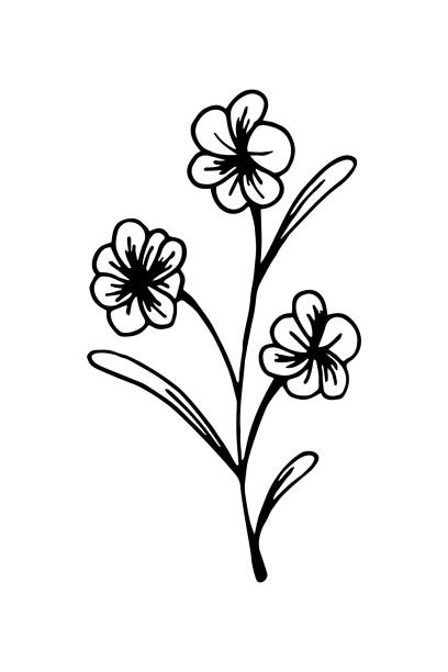 Free Download Of Forget Me Not Flower Tattoo Vector Graphics And Illustrations