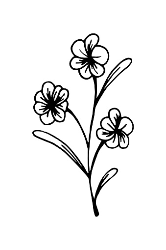 Free Download Of Forget Me Not Flower Tattoo Vector Graphics And Illustrations Free Download Of Forget Me Not Flower Tattoo Vector Graphics And Illustrations
