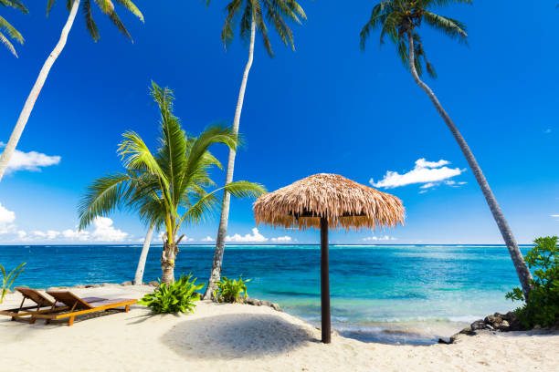 istock Vibrant tropical beach with palm trees, Upolu, Samoa 1217986035