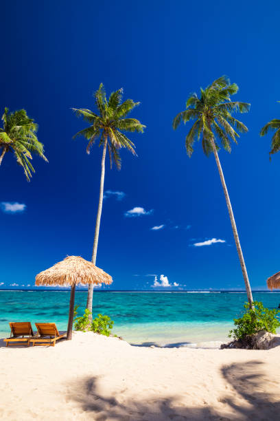 istock Vibrant tropical beach with palm trees, Upolu, Samoa 1217986461