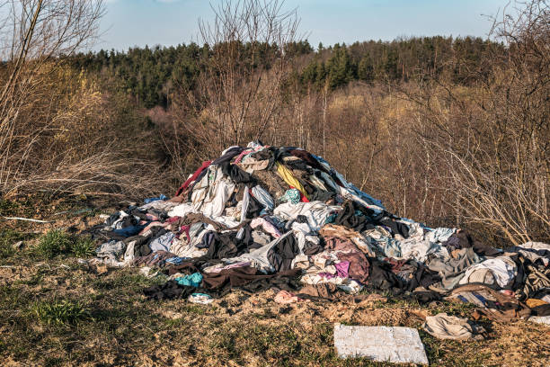 heap of clothes garbage in the forest - pilha roupa velha imagens e fotografias de stock