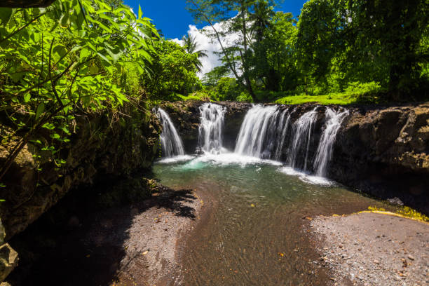 istock Vibrant Togitogiga falls with swimming hole on Upolu, Samoa Islands 1217986849