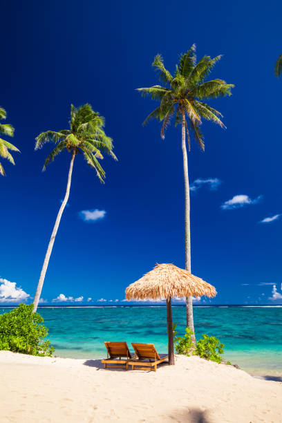 istock Vibrant tropical beach with palm trees, Upolu, Samoa 1217987567