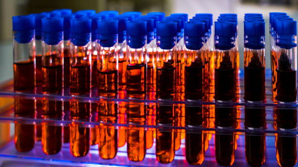 istock The test tubes on the rack with the fluids inside 1217988014