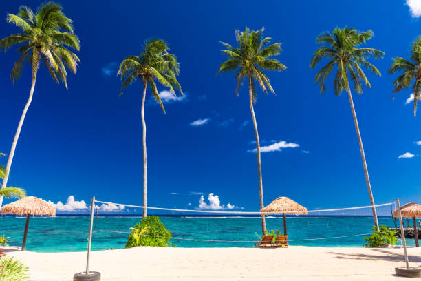 istock Vibrant tropical beach with palm trees, Upolu, Samoa 1217988372