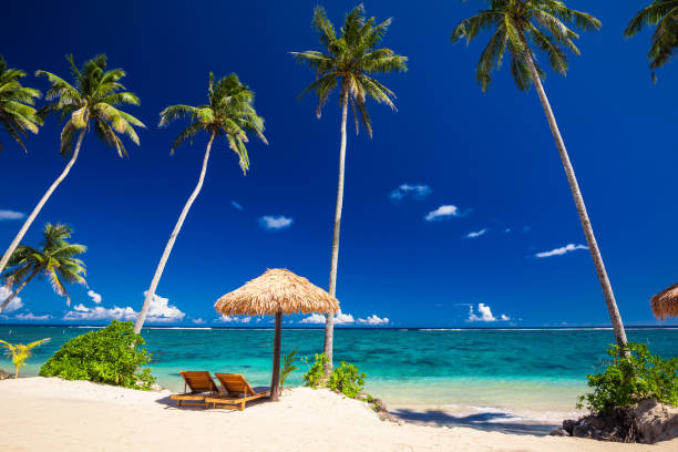 istock Vibrant tropical beach with palm trees, Upolu, Samoa 1217988412