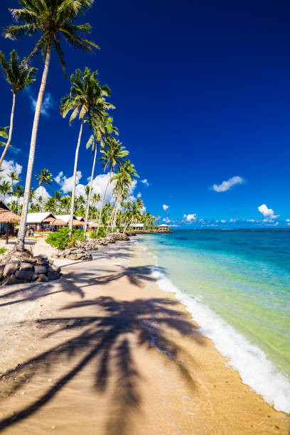istock Vibrant tropical beach with palm trees, Upolu, Samoa 1217989014