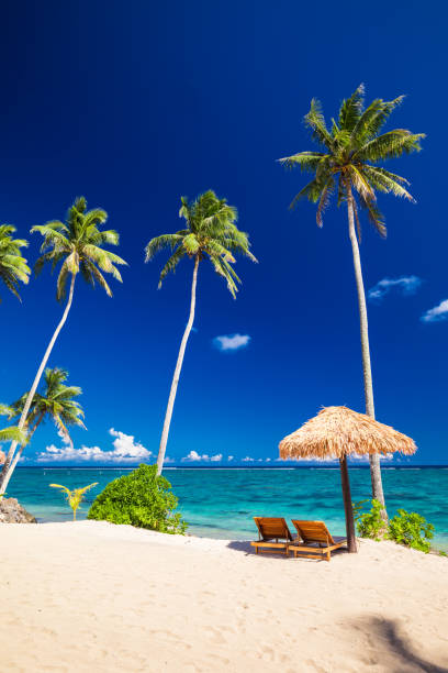istock Vibrant tropical beach with palm trees, Upolu, Samoa 1217989114
