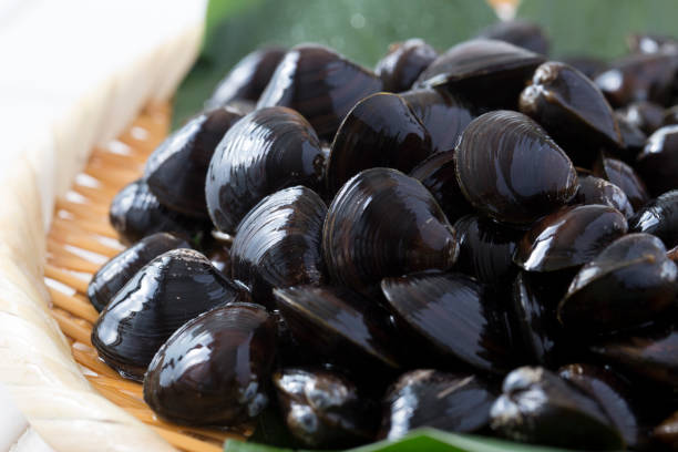 istock Shijimi,freshwater clam 1217990246