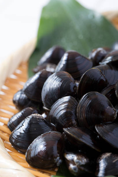 istock Shijimi,freshwater clam 1217990269