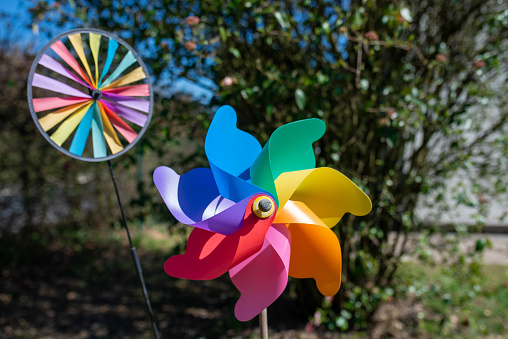 Rainbow coloured Windmill Garden decorations for kids, spinning in the springtime wind