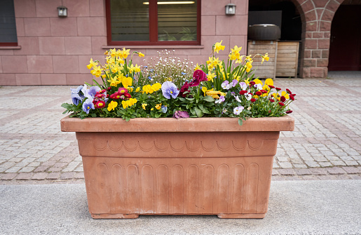 Colourful flowers in pots on a patio in front of a house