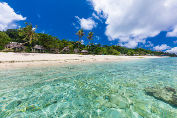 istock Vibrant tropical beach with palm trees, Upolu, Samoa 1217992159