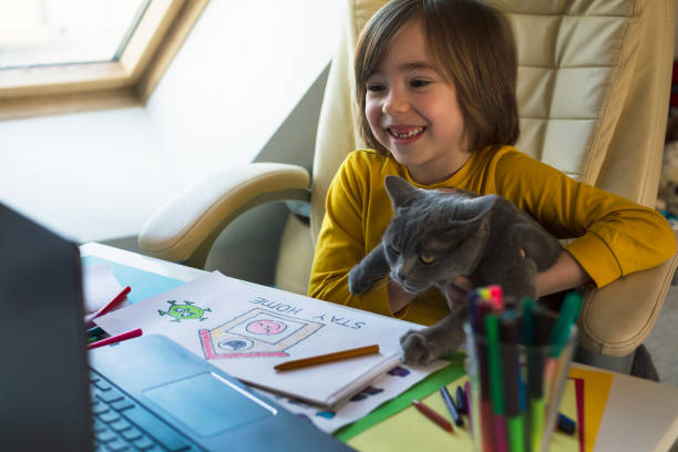 istock Little boy drawing at home while holding his cat. E-learning. Preschool age education. 1217992388
