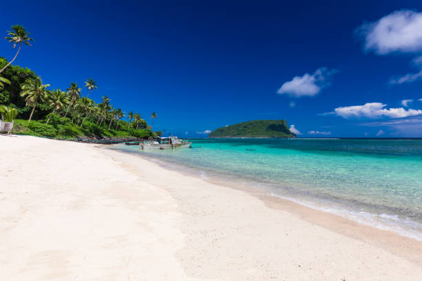 istock Vibrant tropical beach with palm trees, Upolu, Samoa 1217992621