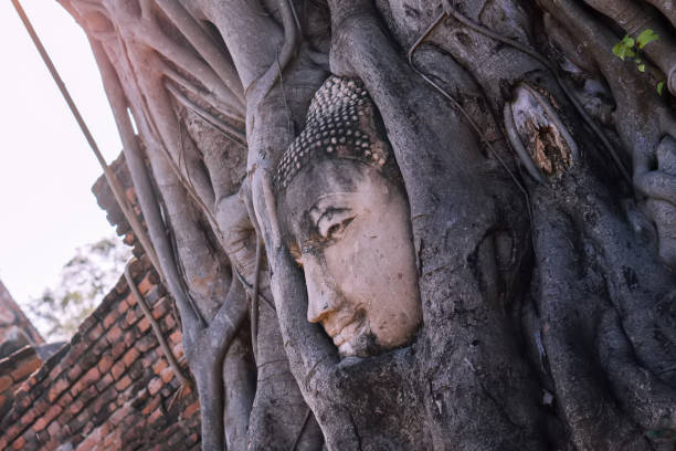 istock Background antique buddha stone head statue in Banyan tree root Thailand Ayutthaya in Wat Mahathat buddhist ancient temple. Thai tourist pray for good luck, zen peaceful and holy meditation relax. 1217992909