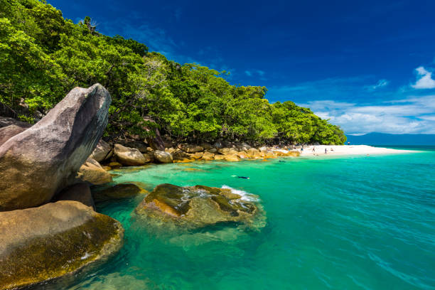 nudey beach en fitzroy island, cairns, queensland, australia, gran barrera de coral - cairns fotografías e imágenes de stock