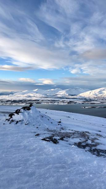 istock Scene from top of polar arctic mountain 1217994255