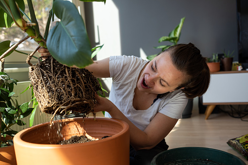Woman taking care of plants at home