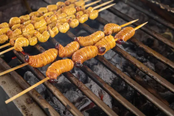 Edible palm weevil larvae (Rhynchophorus phoenicis) at traditional food market in Puerto Francisco de Orellana. Ecuador. Amazon.