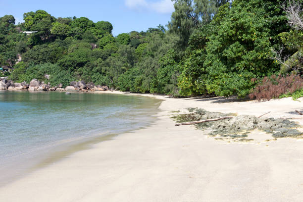 istock A beach in Seychelles islands 1217997165