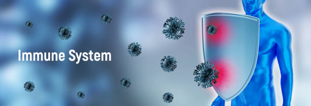 istock Immune system, protection against viruses and bacterias. Humans shield against the coronavirus. 1217997239