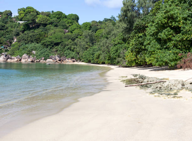 istock A beach in Seychelles islands 1217997313