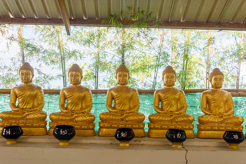 Row of of golden Buddhas Buddha statues, at the Big Buddha, Thailand