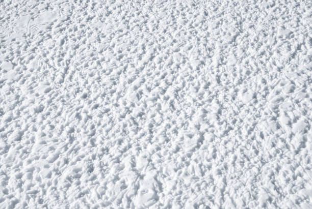 istock Freshly fallen snow is trampled by paws of birds 1218001021