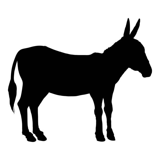 ilustraciones, imágenes clip art, dibujos animados e iconos de stock de silueta vectorial de burro - orejas de burro