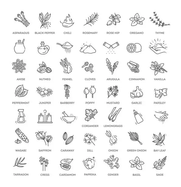 Vector illustration of Condiment icons set. Outline set of condiment vector icons