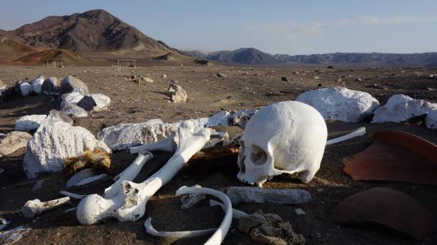 Cementario de Chauchilla, Graveyard in the Peruvian desert of Nazca Cementario de Chauchilla, Graveyard in the Peruvian desert of Nazca. grave digger stock pictures, royalty-free photos & images