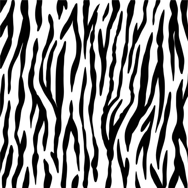 istock Animal background. Zebra texture. Mammals Fur. Print skin. Predator Camouflage. Printable Vector illustration 1218008581