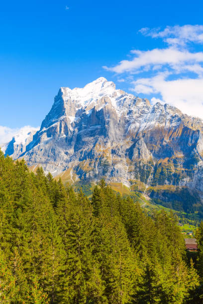 Grindelwald, Switzerland snow mountains view Grindelwald, Switzerland aerial view of autumn Swiss Alps snow mountains panorama landscape, Bernese Oberland, Europe engelberg photos stock pictures, royalty-free photos & images