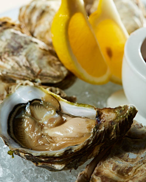 istock Opened fresh oysters with lemon on dish. Shallow dof 1218011343