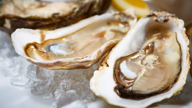 istock Fresh oysters on ice with lemon close up. Shallow dof. 1218011352