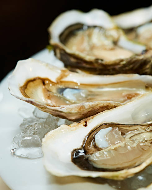 istock Fresh oysters on ice with lemon close up. Shallow dof. 1218011354
