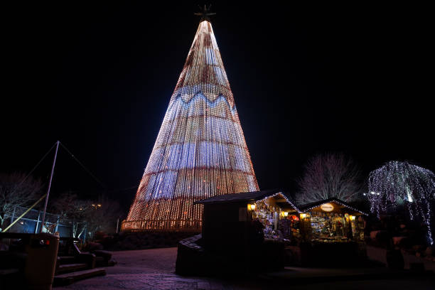 istock Beautiful Christmas tree on a cold winter day. 1218013073